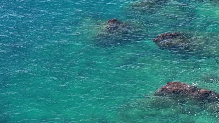 Turquoise Shallows live wallpaper scene
