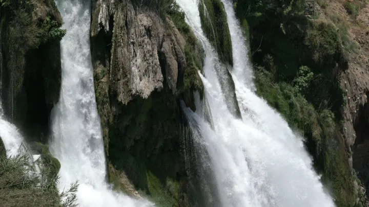 White Rush, Wild Stone live wallpaper scene